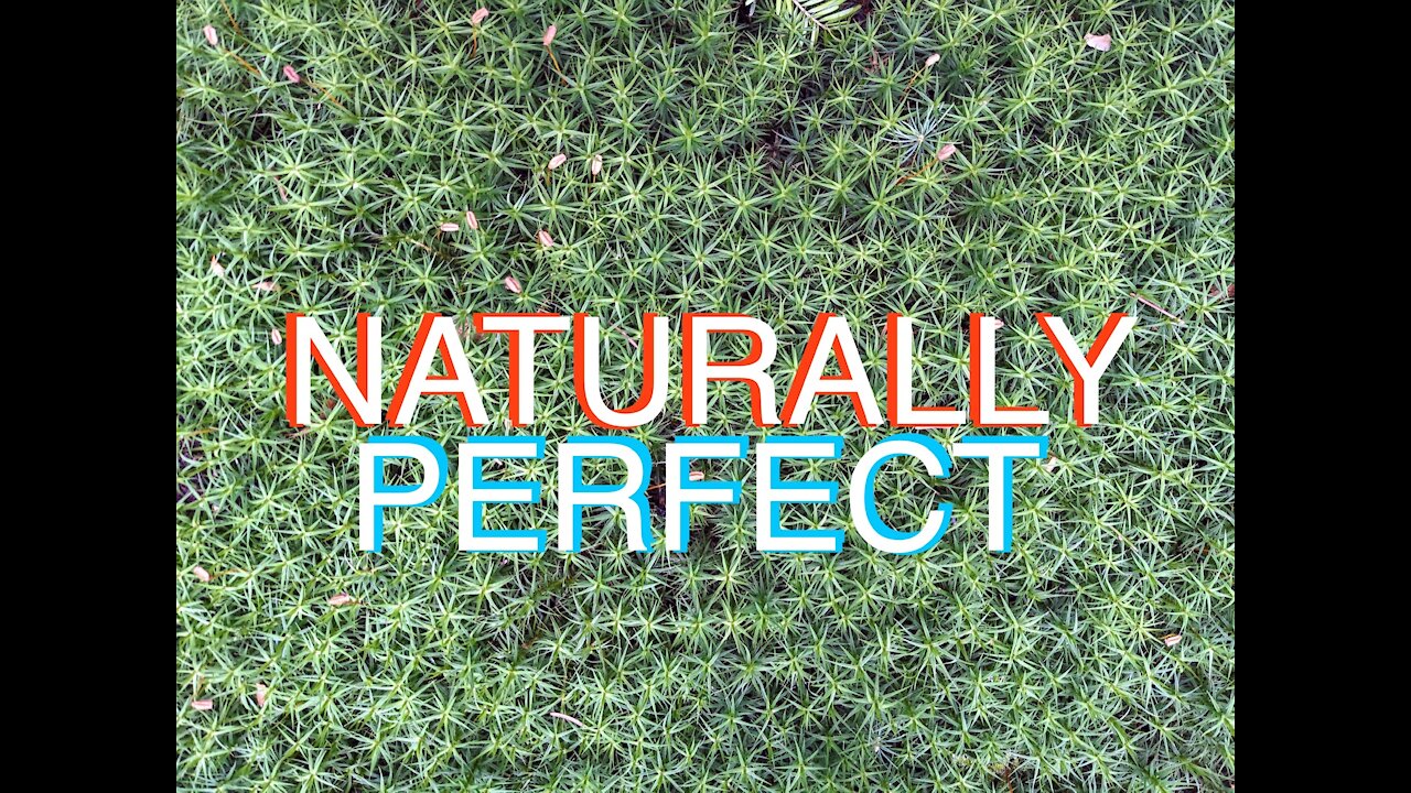 BRASS TACKS-NATURALLY PERFECT