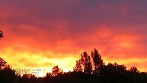 Cotton candy on fire! Vibrant colours light up the morning sky