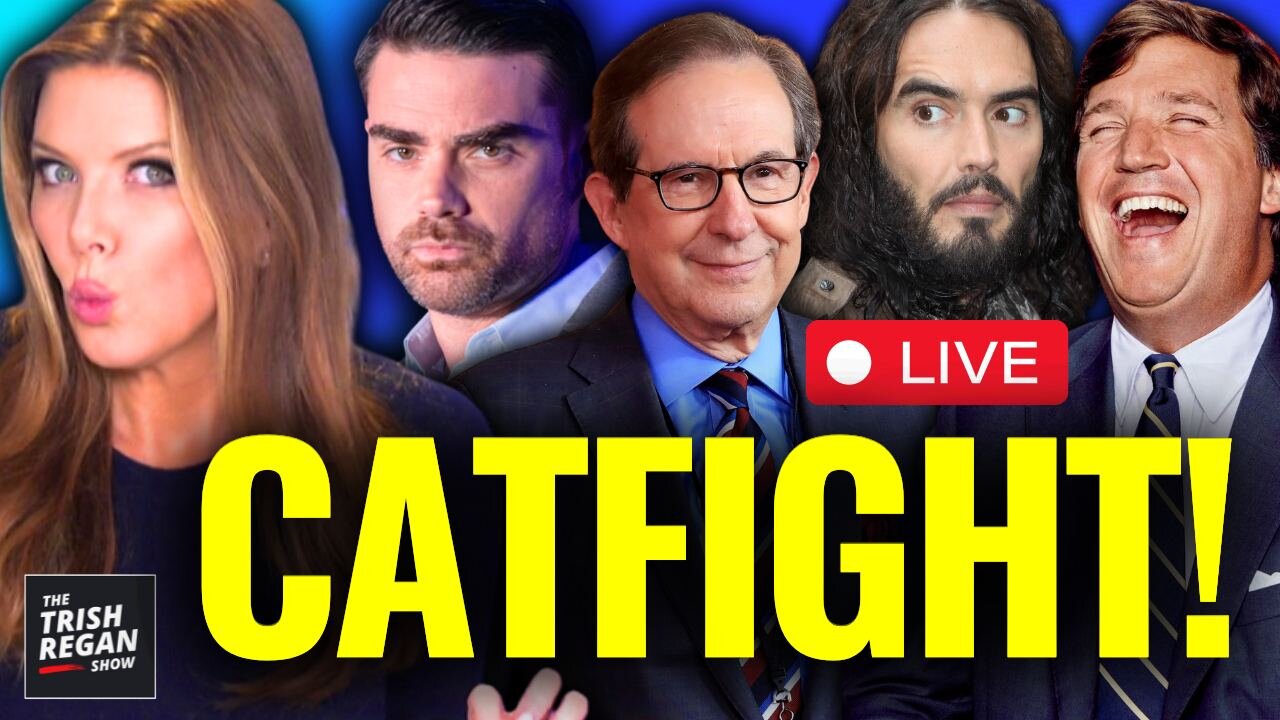 BREAKING: CAT FIGHT!