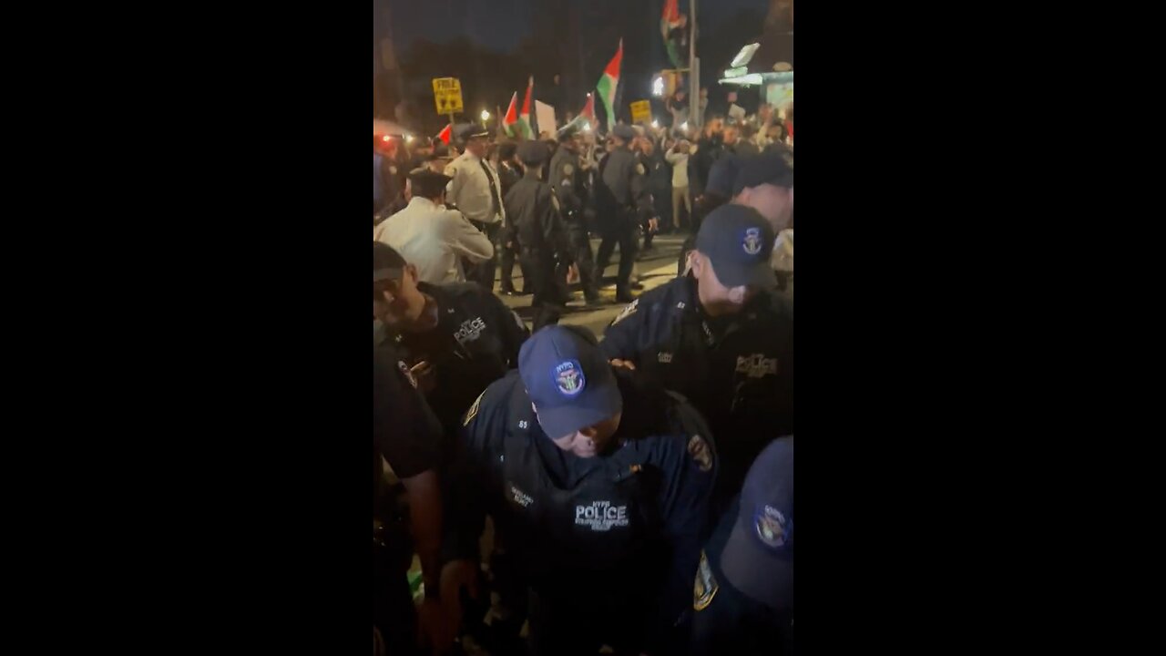 Chaos At Pro Palestine Protest In Brooklyn, NY