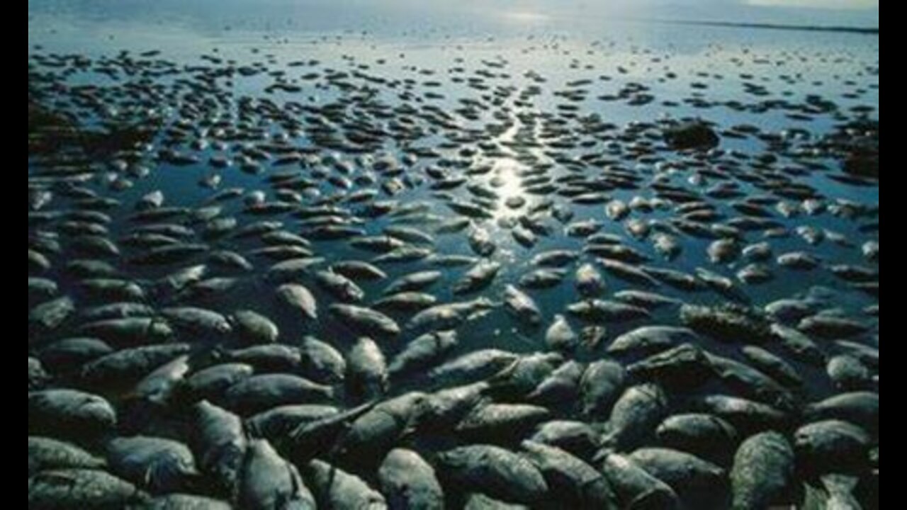 GOVERNMENT WORKERS CAUGHT POISONING LAKE IN NEW BRUNSWICK!