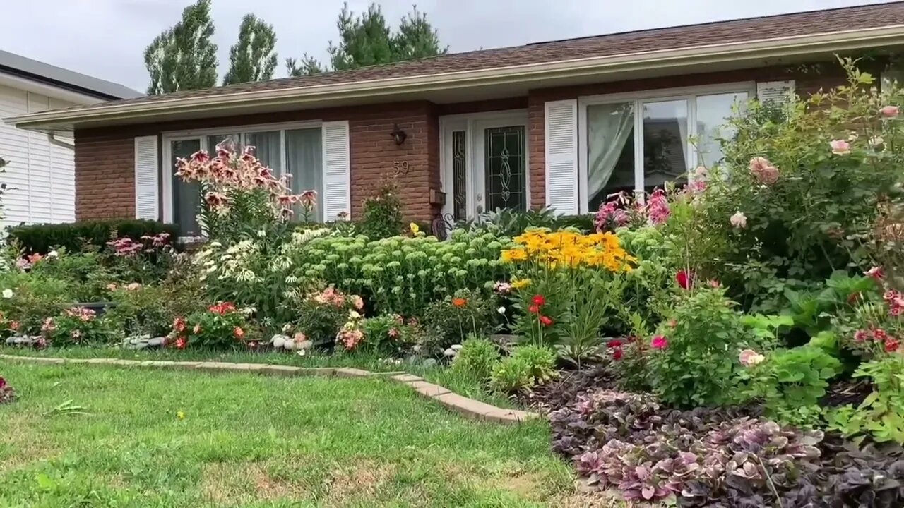 Oriental Lilies + Frontyard Garden Garden Journal August 1