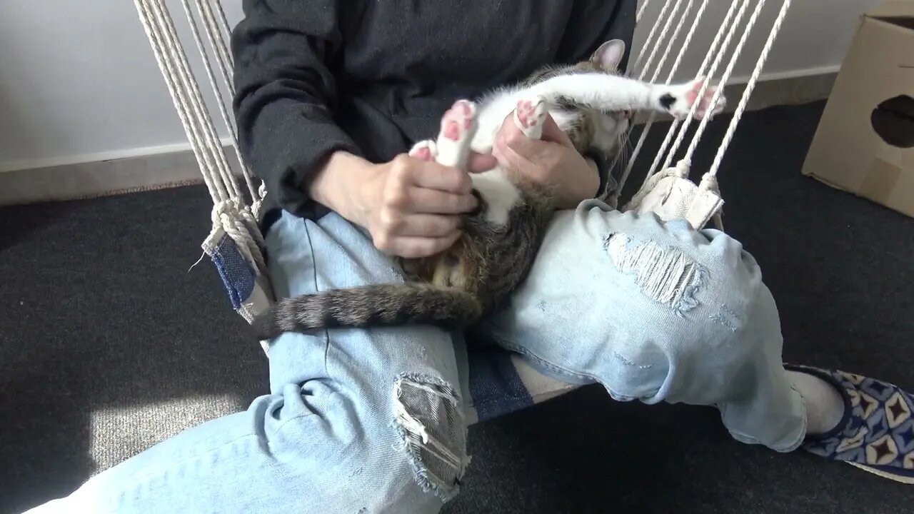 Set Me Free now, Human!