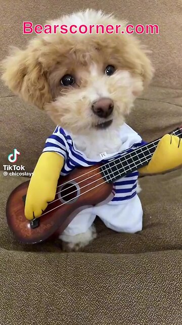 Singing dog