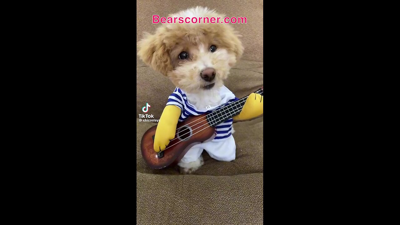 Singing dog