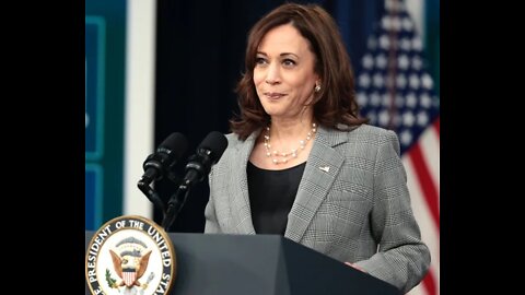 Former Zelenskyy Official Tweets: 'Tragedy' If Harris Won Presidency