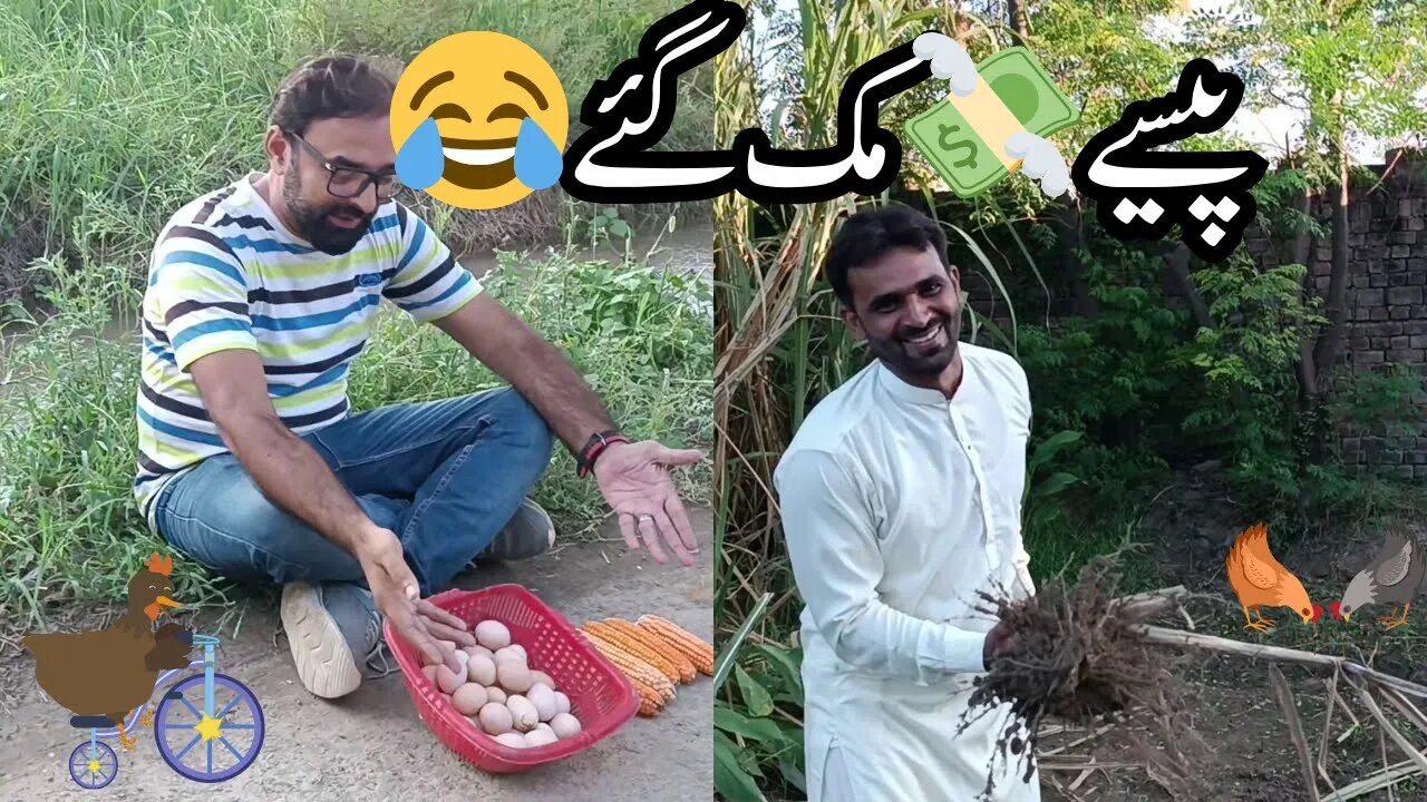 Fun with us in mini zoo | paisay khatam ho gaye |funnny video | comedy video #petlovers #comedy