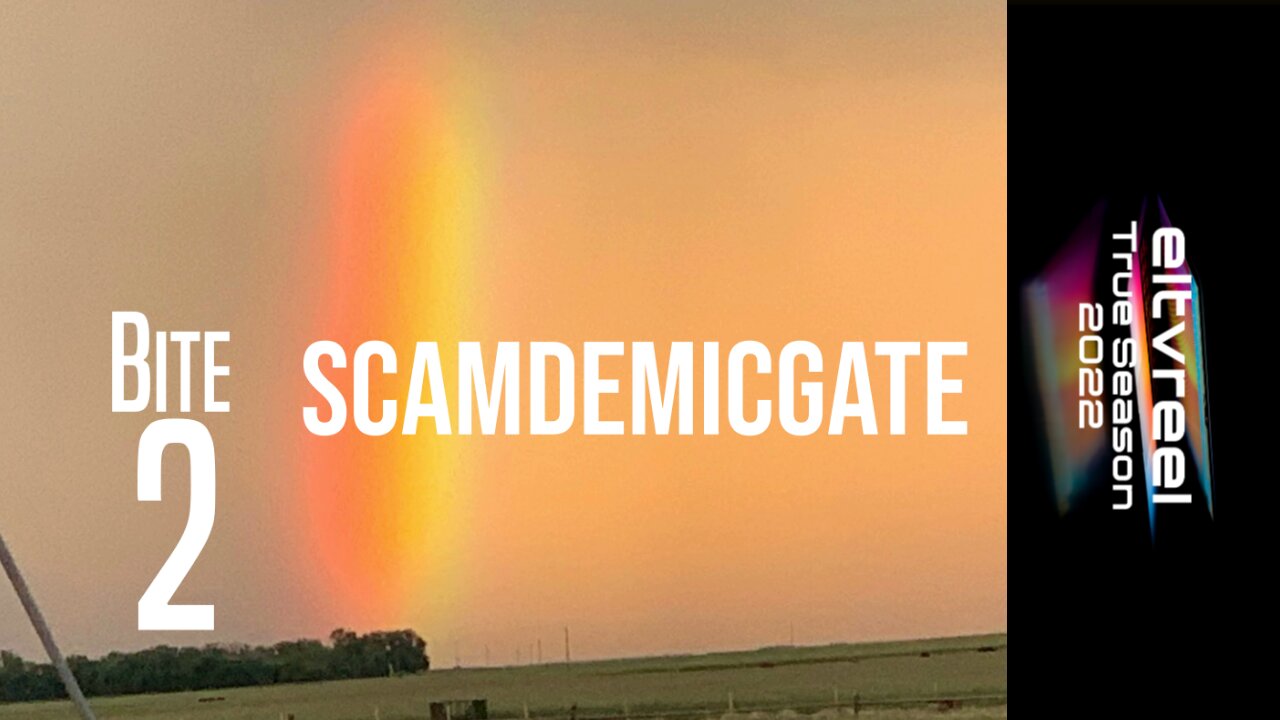 ELTVREEL BITE SIZED: SCAMDEMICGATE {BITE 2}