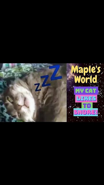 🐈💤Cute Cat Snores Loud and Sleeps With Eyes Open💤🐈