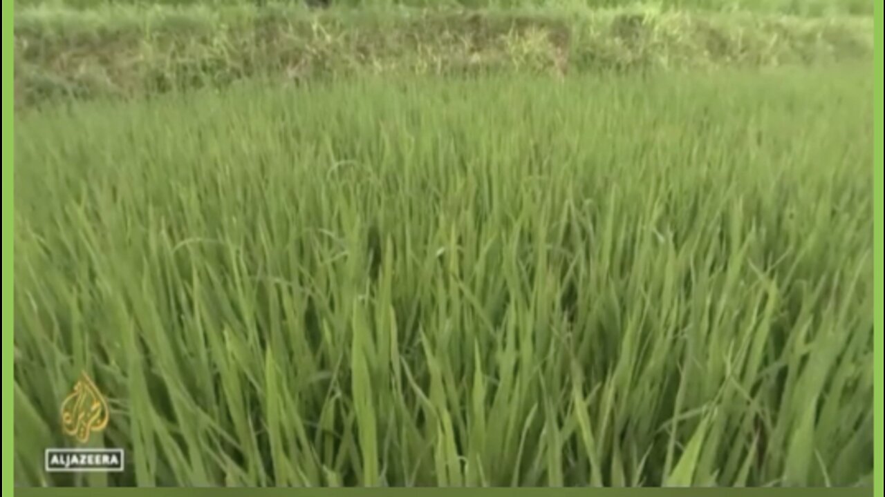 WEF pushed fertiliser ban!