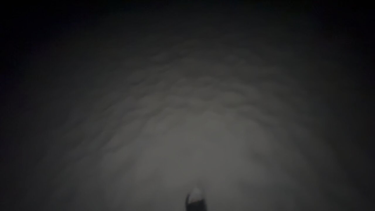 feet in the water