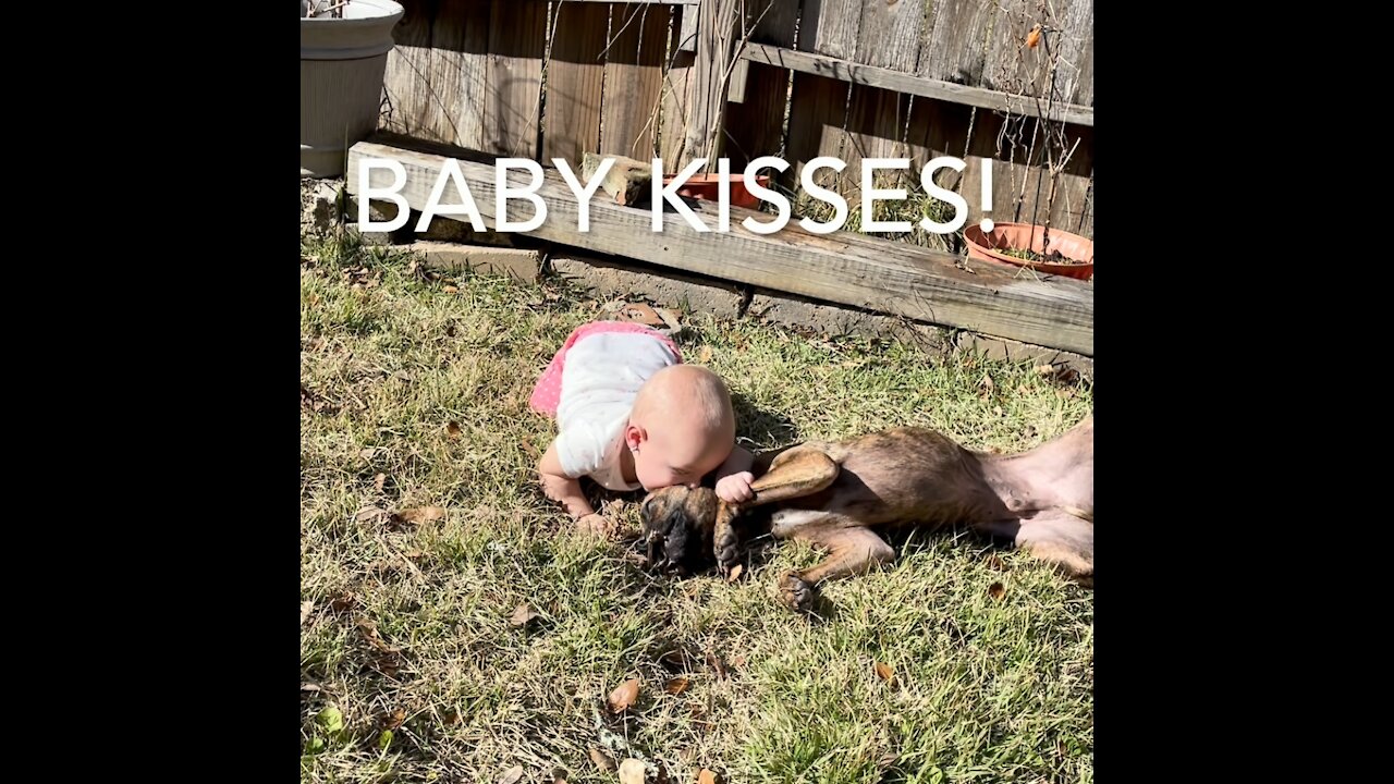 Puppy playing outside with laughing baby!