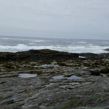 Man Slips On Rocks And Drops His Phone In The Water