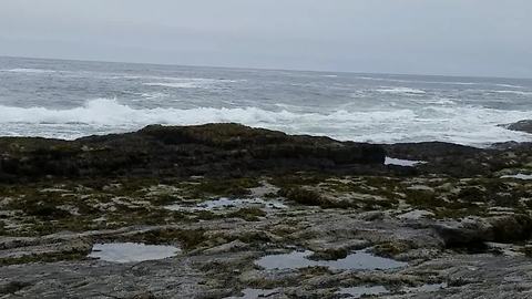 Man Slips On Rocks And Drops His Phone In The Water