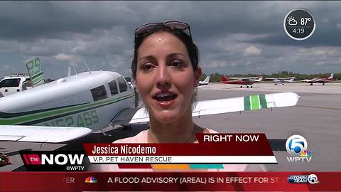 Plane airlifts food for hungry animals