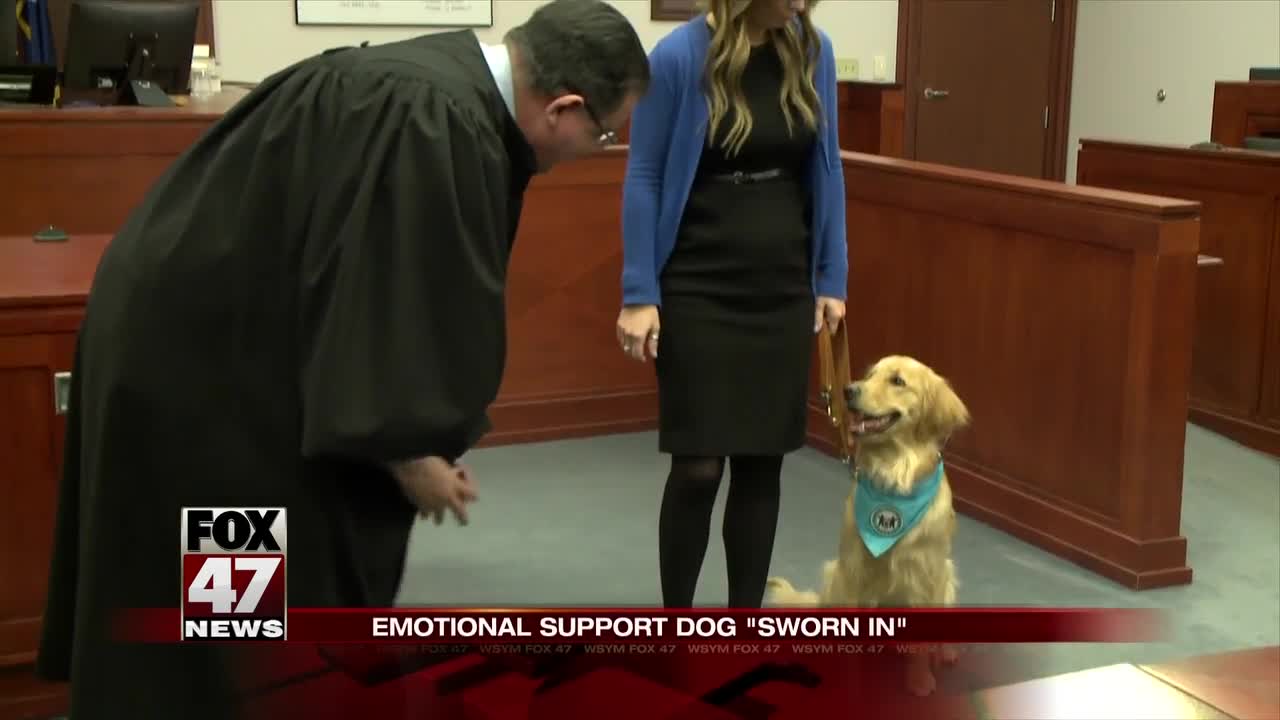 Kory the emotional support dog sworn in