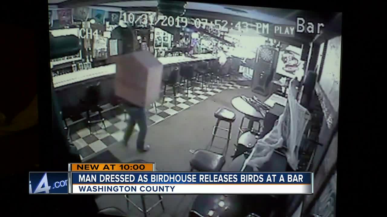 Party fowl: Washington County man releases birds in a bar on Halloween [VIDEO]