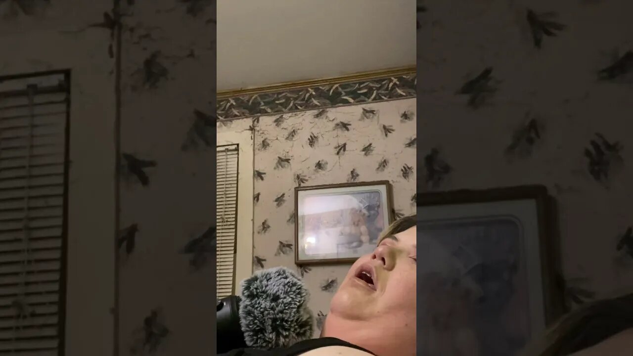 Snoring 💤 ASMR 2 Hours Into The Video