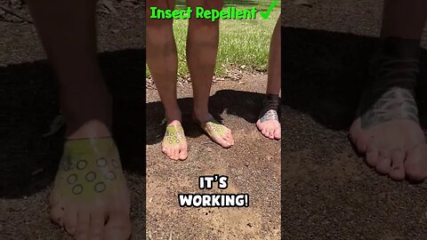 Does Insect Repellent Really Work?