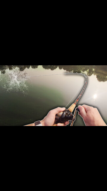 Largemouth Bass Fishing a Mann's 1-Minus under Algae Bloom