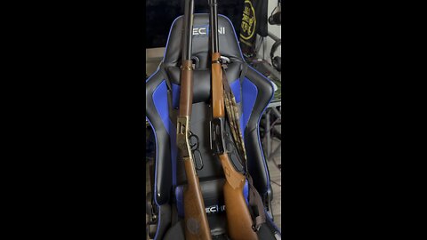 Lever action: What caliber comes to mind?