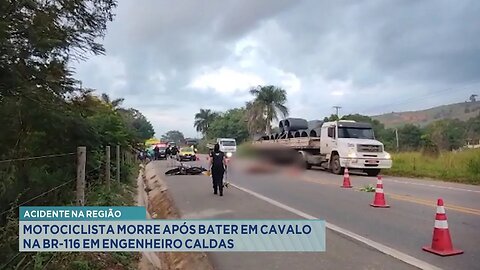 Acidente na Região: Motociclista Morre após Bater em Cavalo na BR-116 em Engenheiro Caldas.