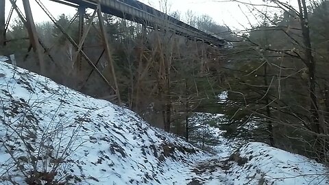 The sound and flight of the crow. An organised walk story #shortvideo #crow #greatoutdoors #hiking