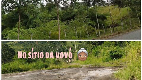 a day in the countryside