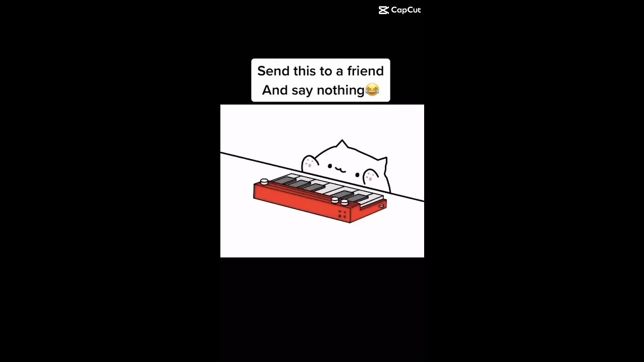 Piano cat transition! ➡️➡️➡️