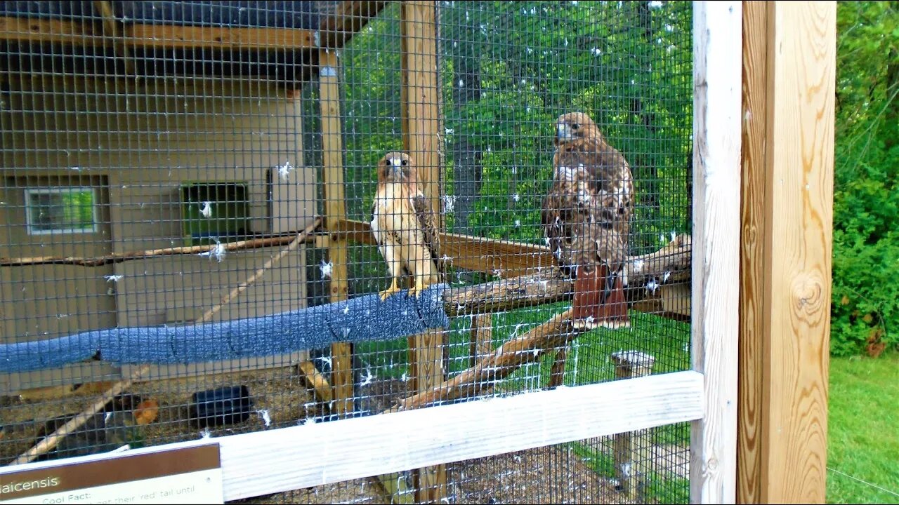Sundayscape : Deer Haven Park
