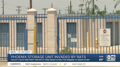 Phoenix storage unit invaded by rats