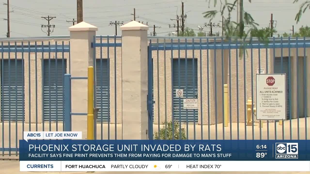 Phoenix storage unit invaded by rats