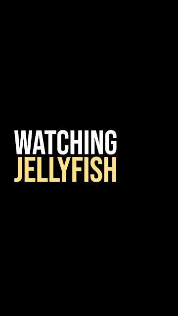 Watching Jellyfish