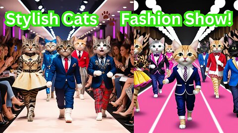 Fashion Cats: Cute and Stylish on the Runway!