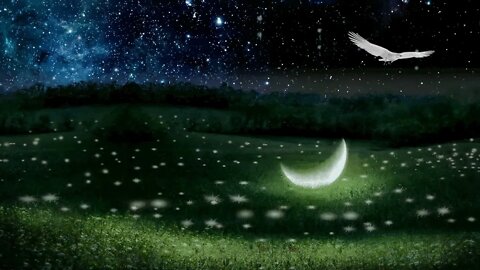 Fast and Deep Sleep, Overcome Insomnia, Dark Screen.