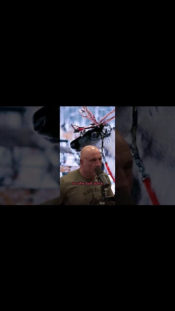 Santa's reindeer Rudolph has been misgendered - Neil Degrasse Tyson and Joe Rogan