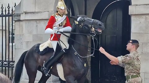 Noisey day at horse guards. horse freaks out #horseguardsparade