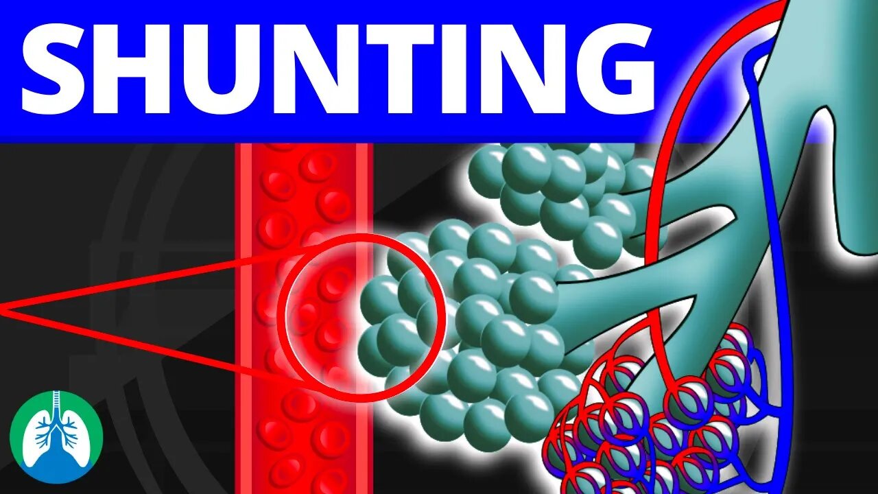Alveolar Shunt (Medical Definition) | Quick Explainer Video