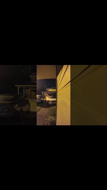 Thieves early morning