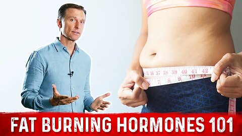 Fat Burning Hormone 101 (Weight Loss Basics) Explained by Dr.Berg