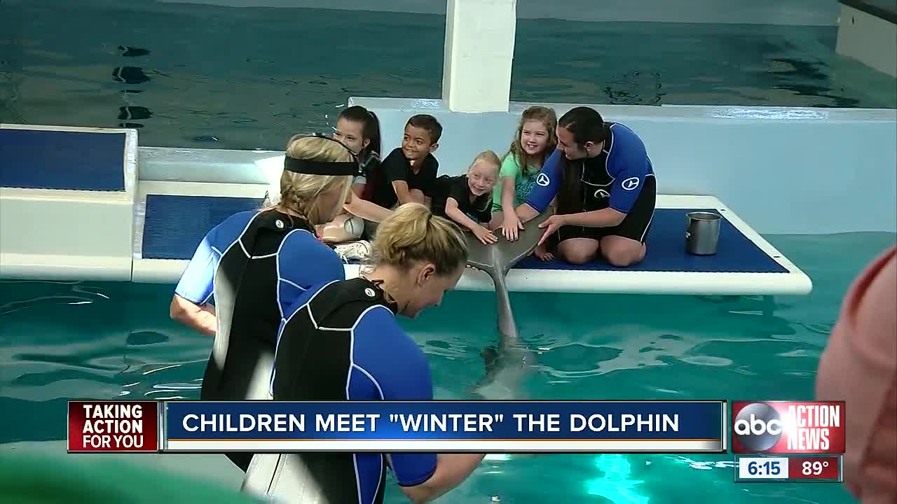 Children meet 'Winter' the dolphin