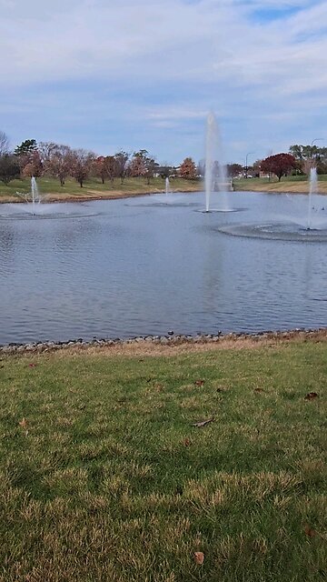 My Peaceful Place - I Desire Peace and Reconciliation