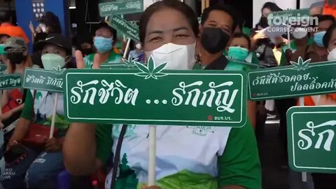 Is Thailand the New Weed Capital of the World Foreign Correspondent ##### 12