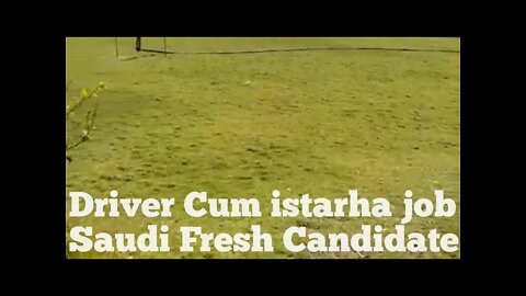 job For Saudi | Driver Cum istraha Helper #fcenterprise #job #shorts #driverjob