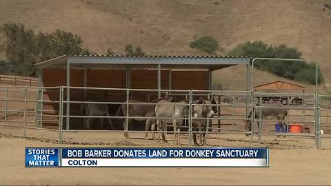 Bob Barker buys land to donate for donkey sanctuary