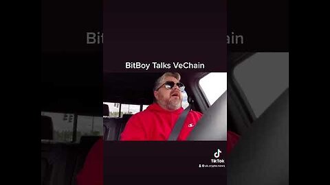 BitBoy Talks VeChain