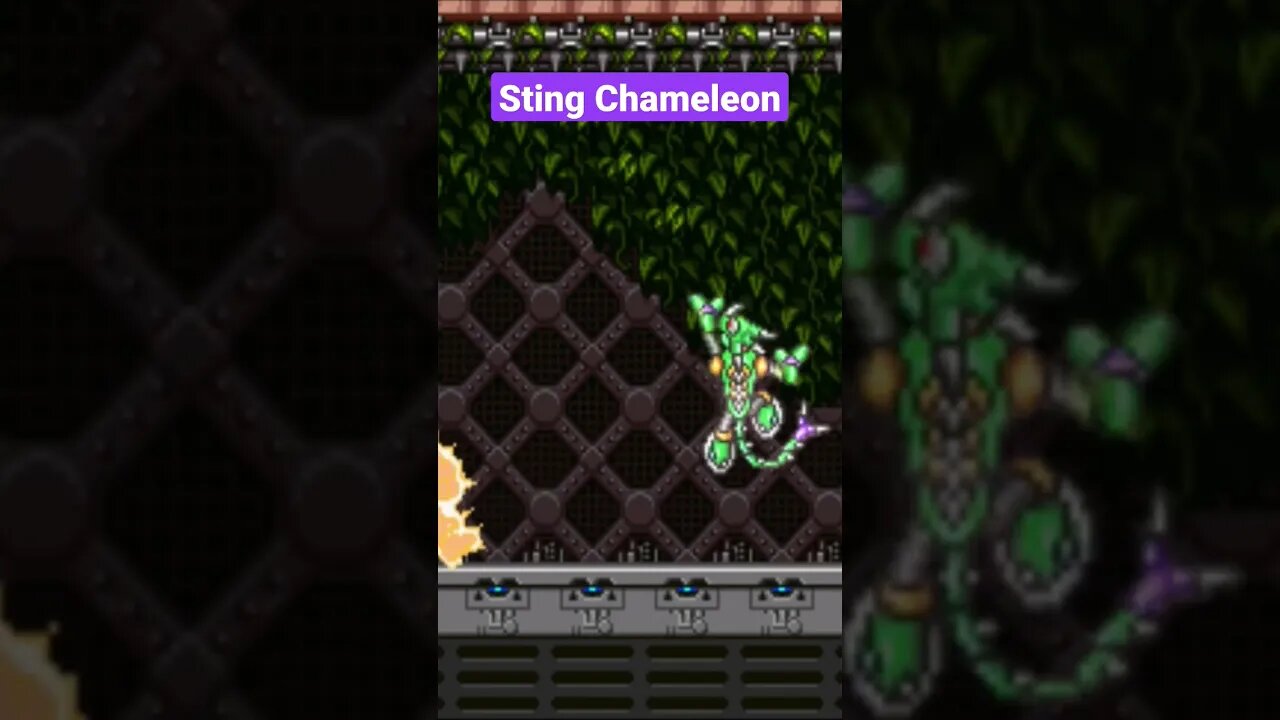 Como Matar o Sting Chameleon - Mega Man X - Snes