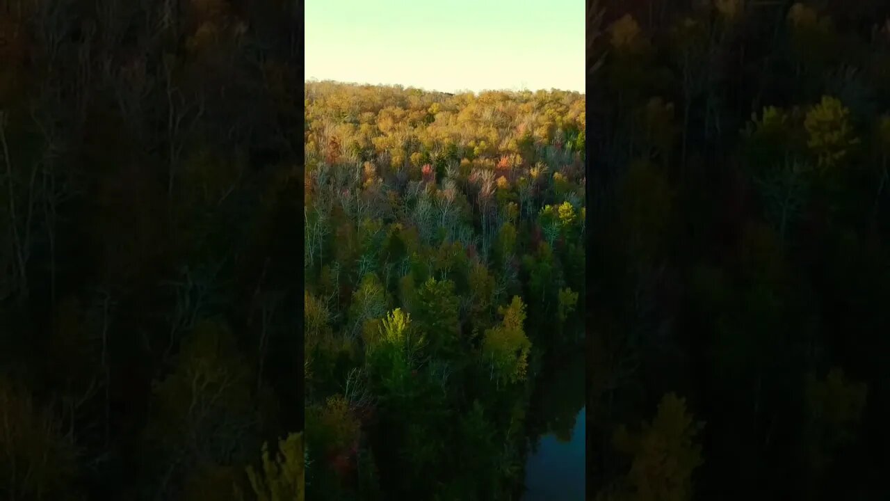 Autumn Leaves Frank Sinatra is a great song 🍁