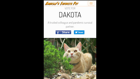 Vote for Dakota