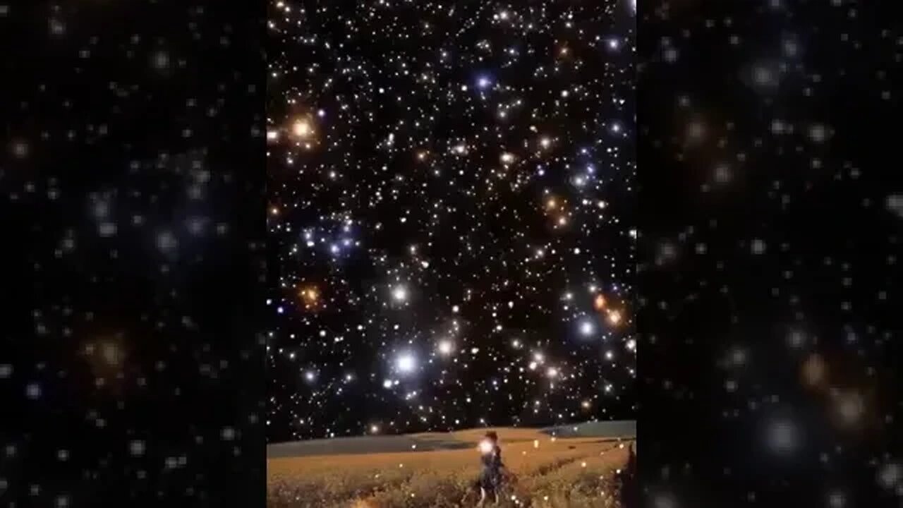 Que a Felicidade ...Faça parte do seu Dia !!!